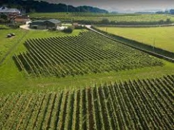 De ingetogen trots van het Heuvelland: Wijndomein Entre-Deux-Monts